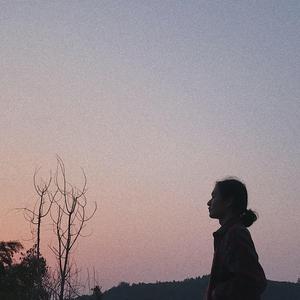 猛男GayGay✅免费网站欧美
