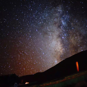 猛男GayGay✅免费网站欧美
